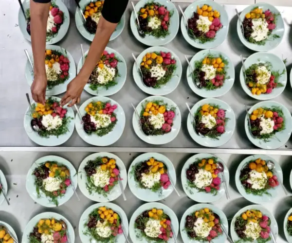 Abundance Catering formal plated menu